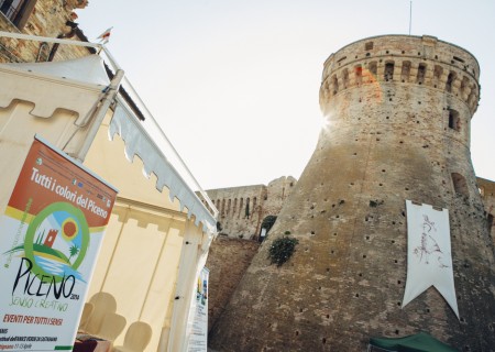 Piceno olive oil tradition